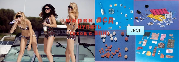 ПСИЛОЦИБИНОВЫЕ ГРИБЫ Арсеньев