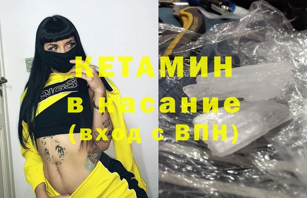 прущие грибы Аркадак