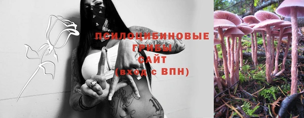 прущий лед Балахна