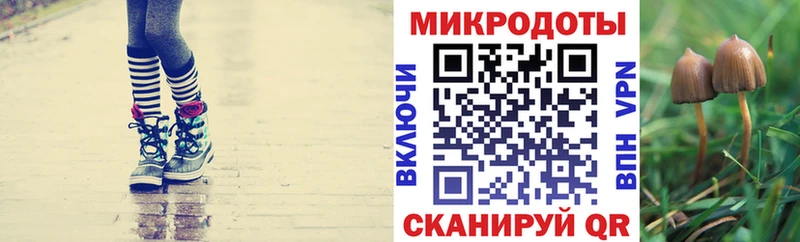 Псилоцибиновые грибы прущие грибы  Купить закладки  Нолинск 